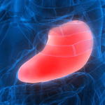 karaciger-kanseri-nedir